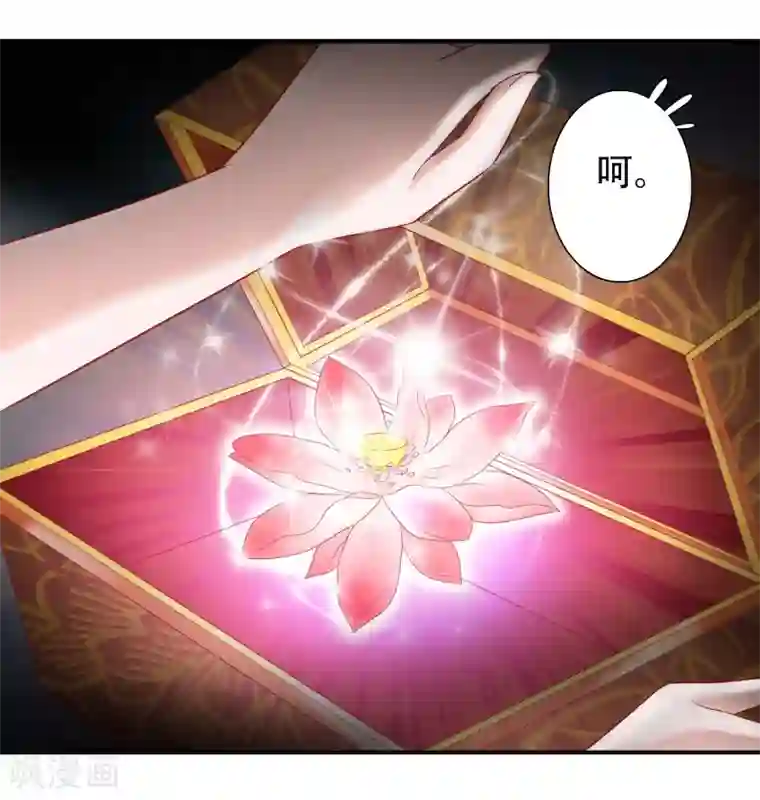 绝色小蛋妃第50话 凤凰神女的嫁妆