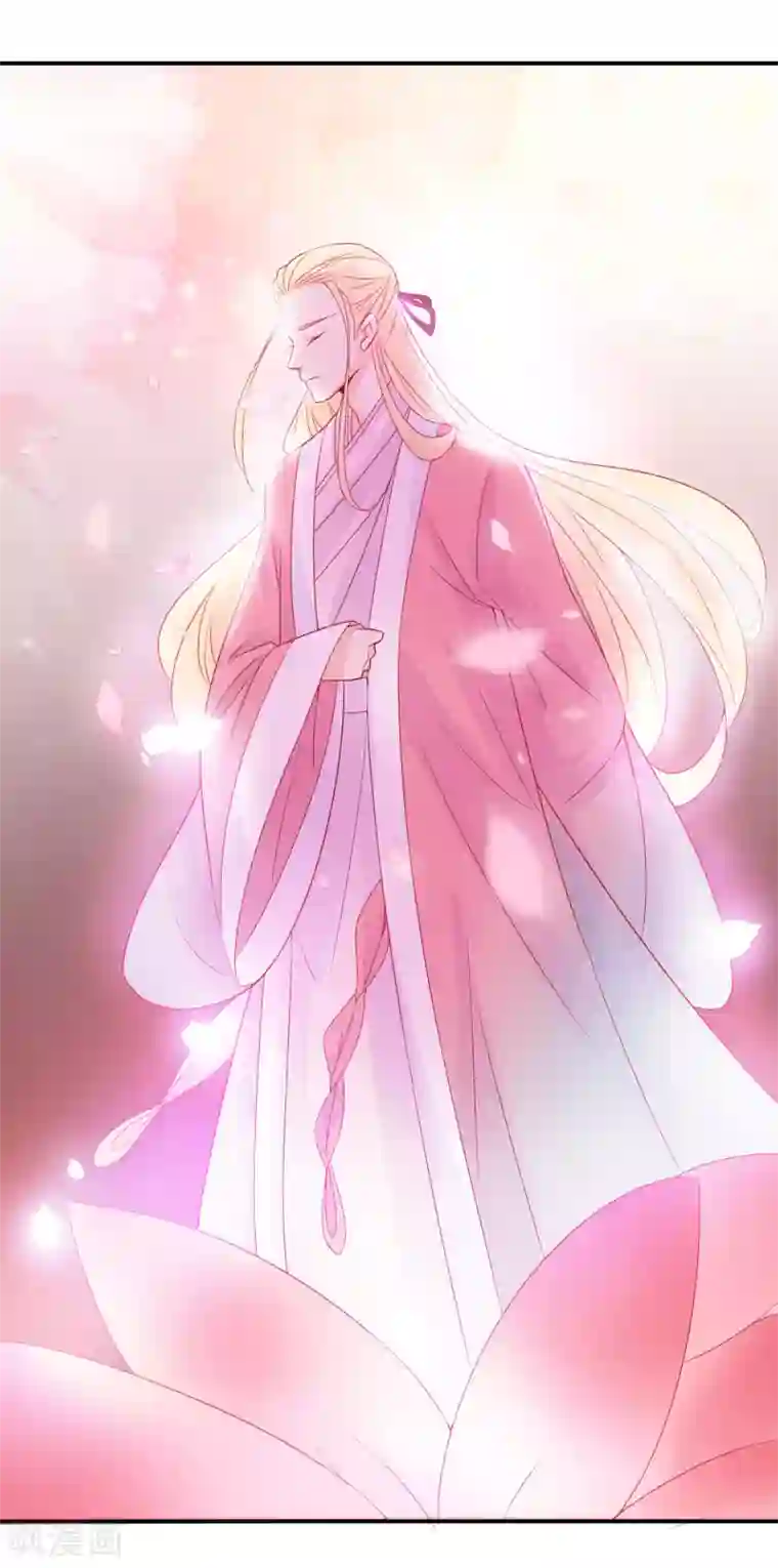 绝色小蛋妃第50话 凤凰神女的嫁妆