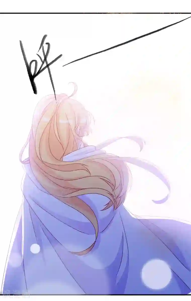 绝色小蛋妃第50话 凤凰神女的嫁妆