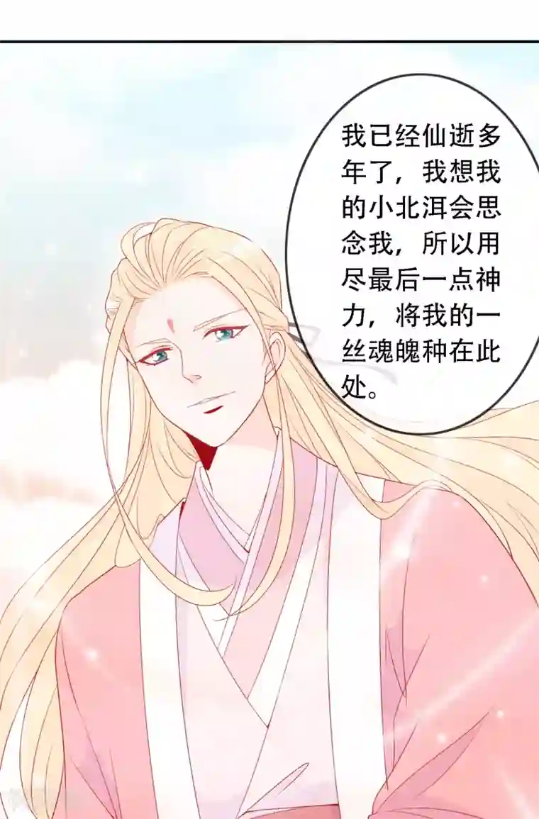 绝色小蛋妃第50话 凤凰神女的嫁妆