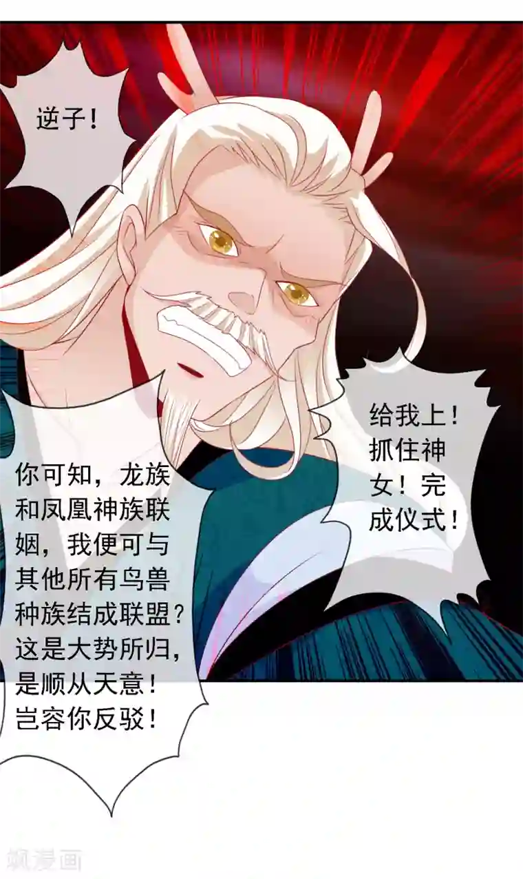 绝色小蛋妃第50话 凤凰神女的嫁妆