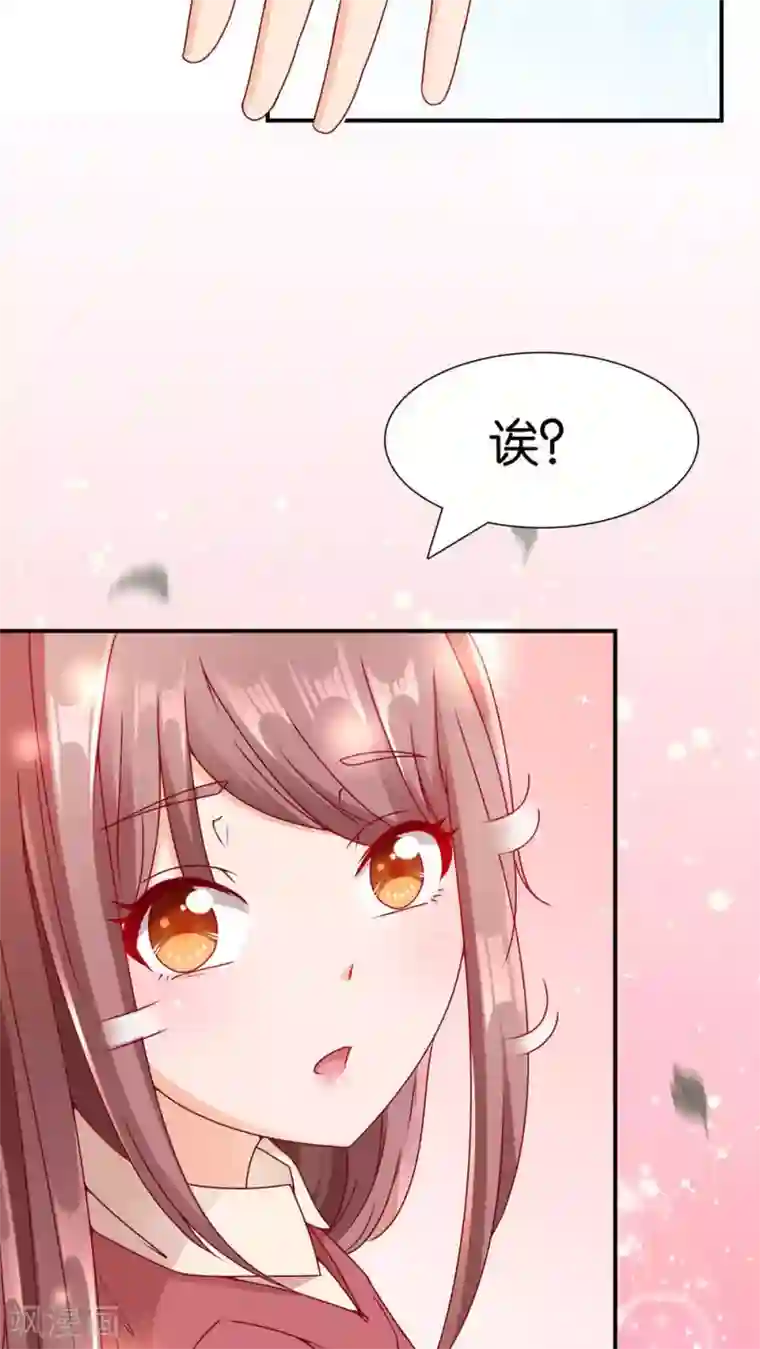 红娘灰姑娘第2话 结婚陷阱