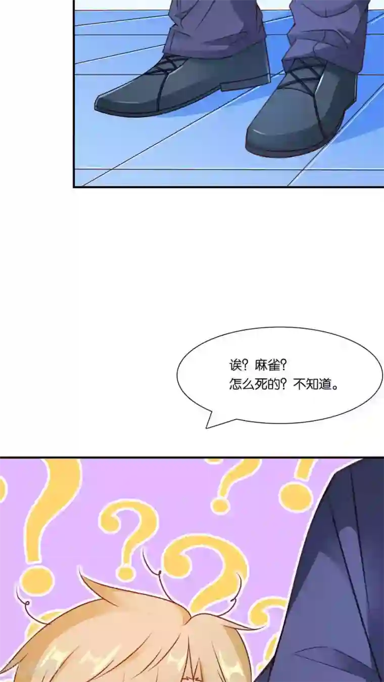 红娘灰姑娘第3话 心跳相遇