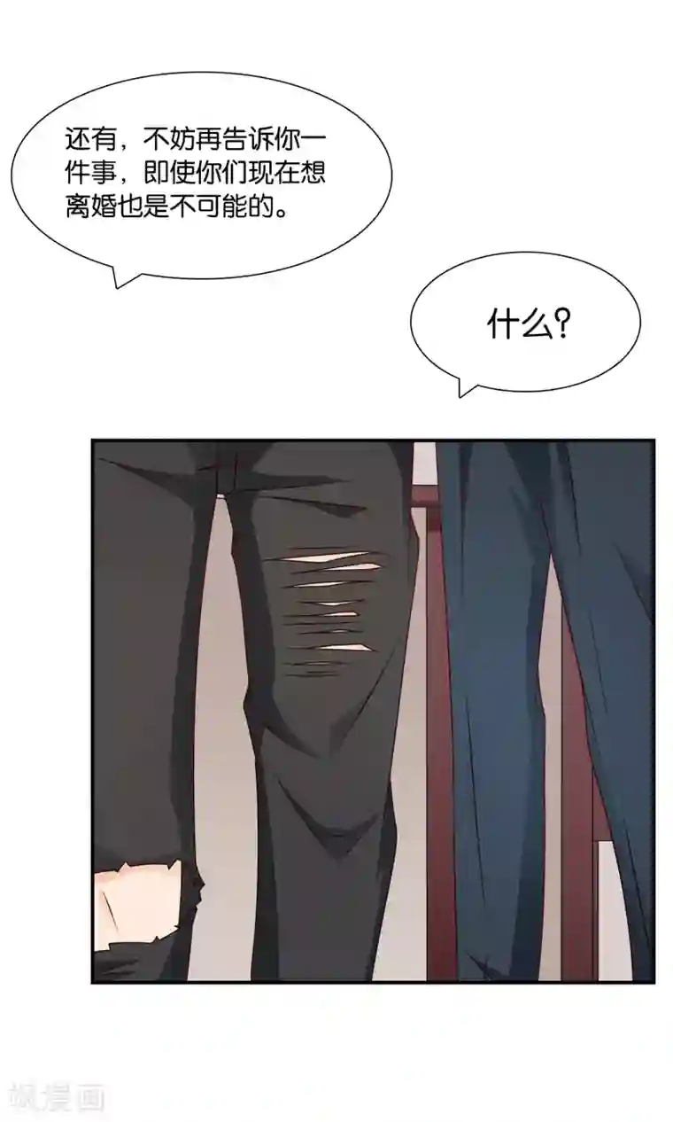 红娘灰姑娘第17话 离婚进行时