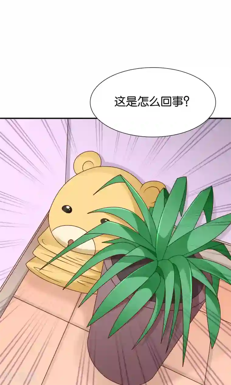 红娘灰姑娘第32话 不详的吉祥物