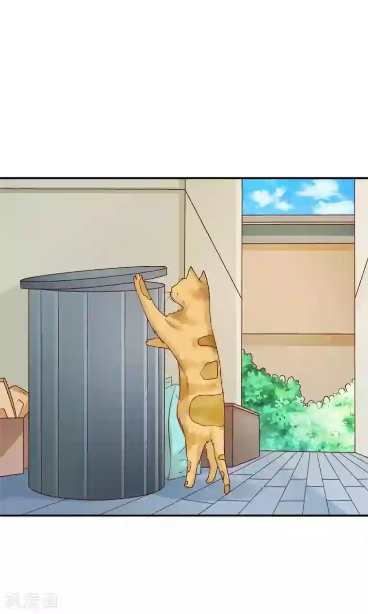 红娘灰姑娘第35话 不堪的欺凌