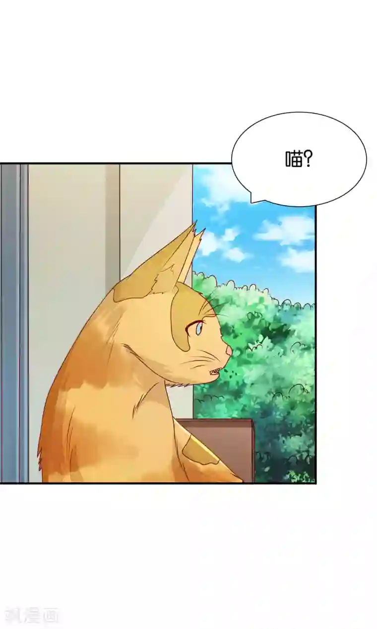 红娘灰姑娘第35话 不堪的欺凌