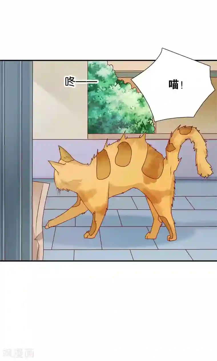 红娘灰姑娘第35话 不堪的欺凌