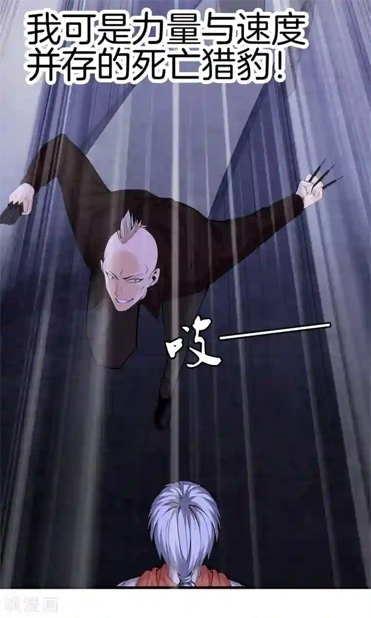 都市至尊第77话 铁拳虎哥