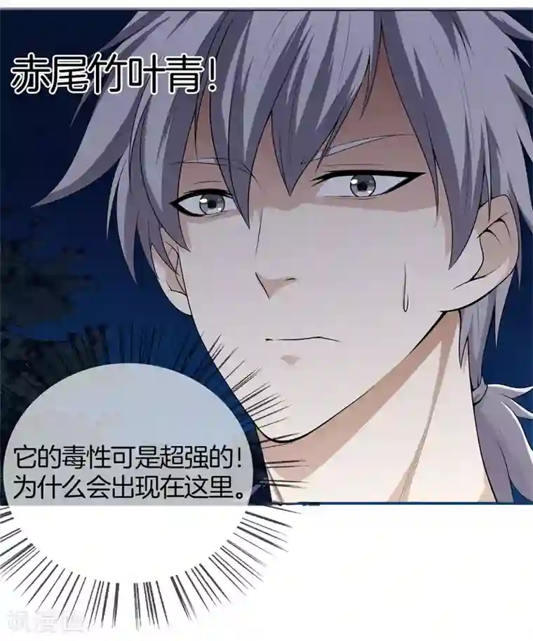 都市至尊第27话 打上门来