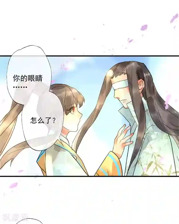 鸾凤惊天第55话 我们私奔可好？
