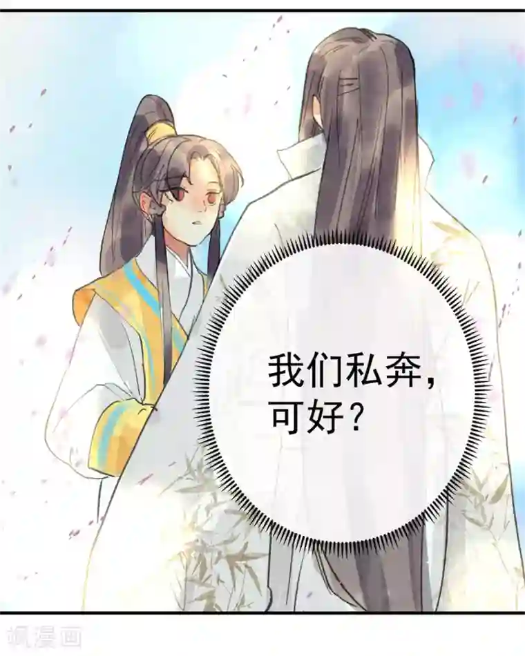 鸾凤惊天第55话 我们私奔可好？