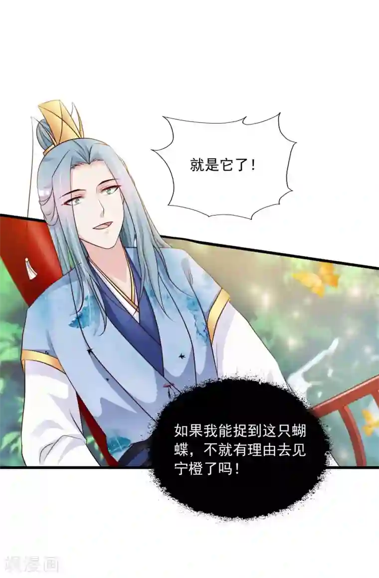 宫廷团宠升职记第70话 皇帝为谁捉蝴蝶？