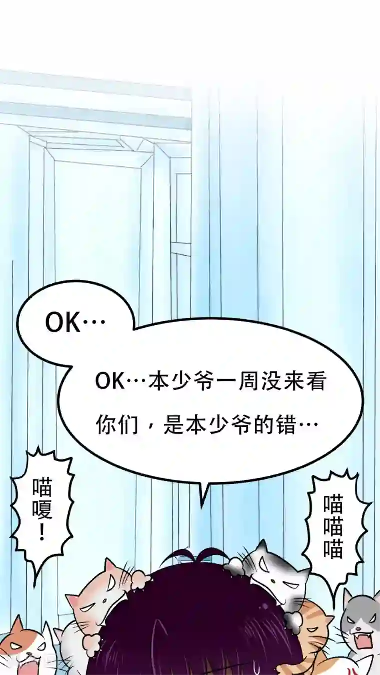 凸然勃起的牛仔裤第20话 后宫们都要生气啰