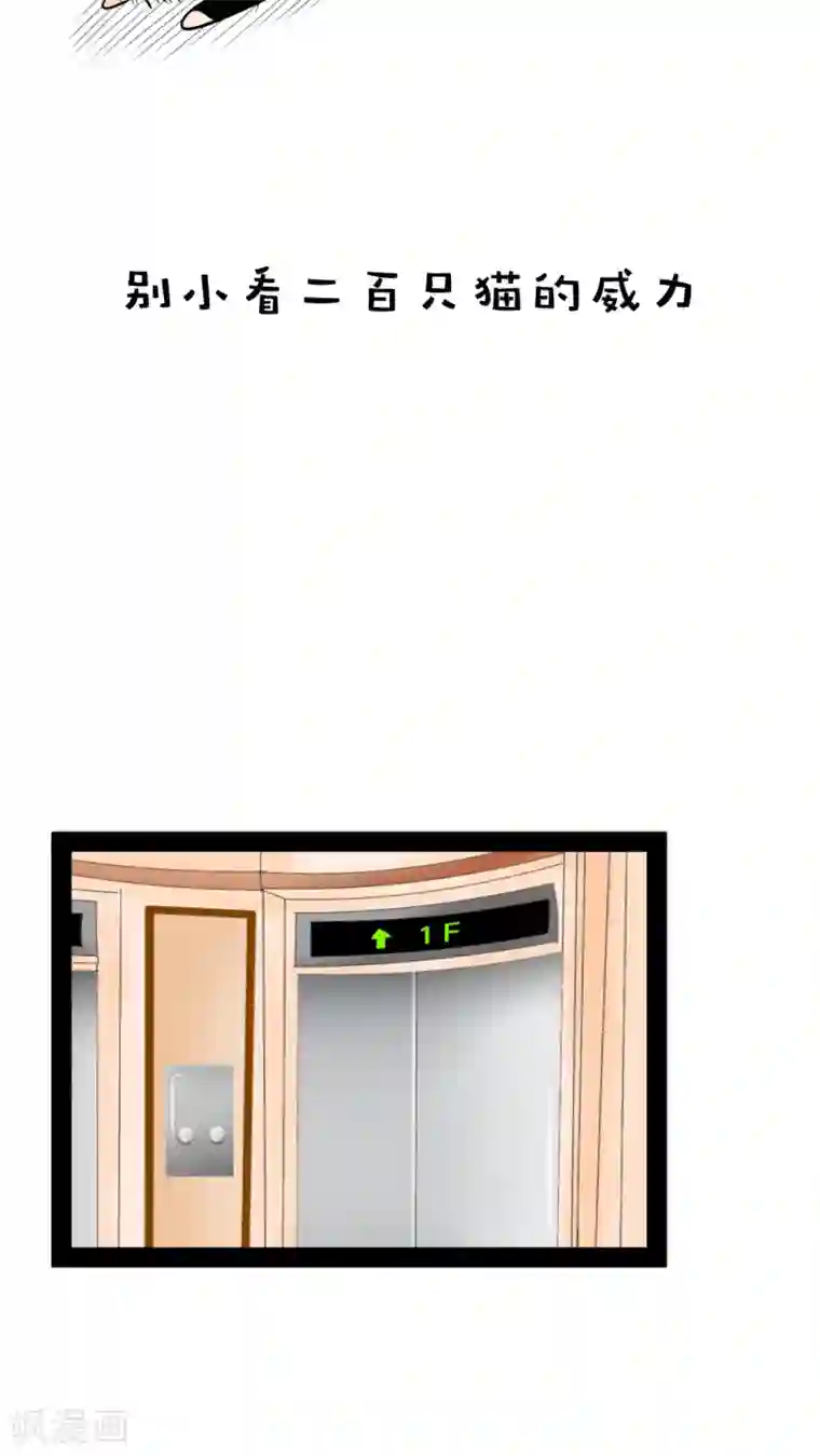 未近第20话 后宫们都要生气啰