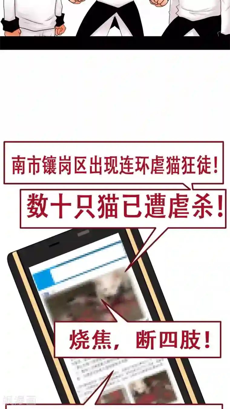 未近第27话 我们不是「虐猫狂徒」!