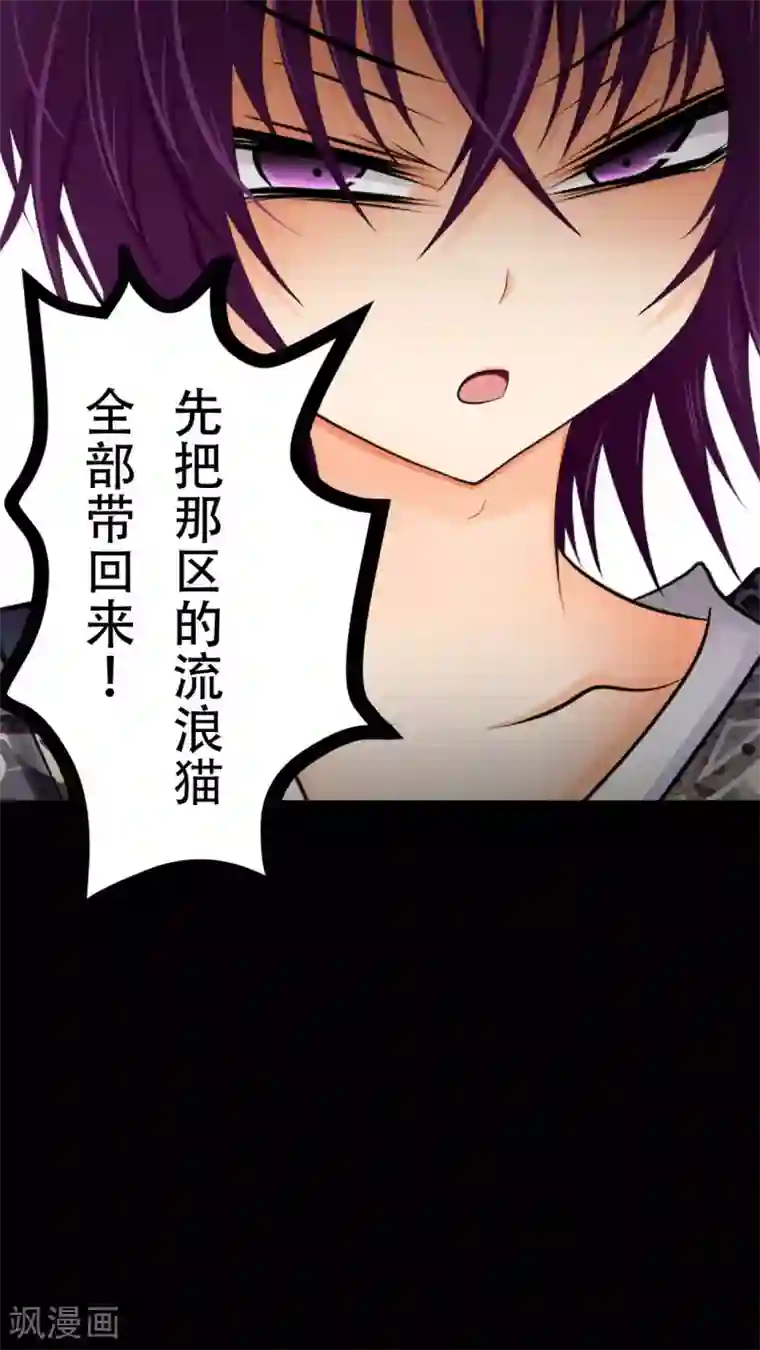 未近第27话 我们不是「虐猫狂徒」!