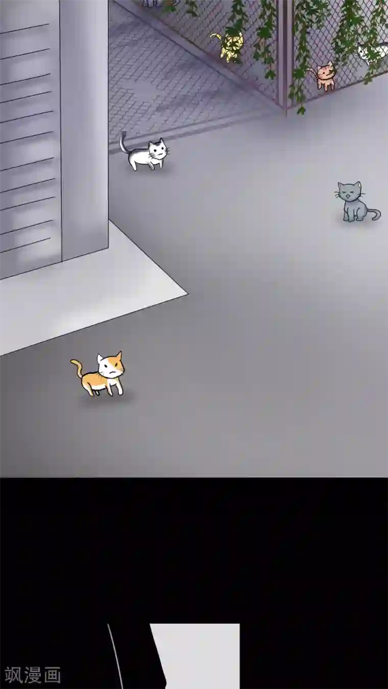 未近第27话 我们不是「虐猫狂徒」!