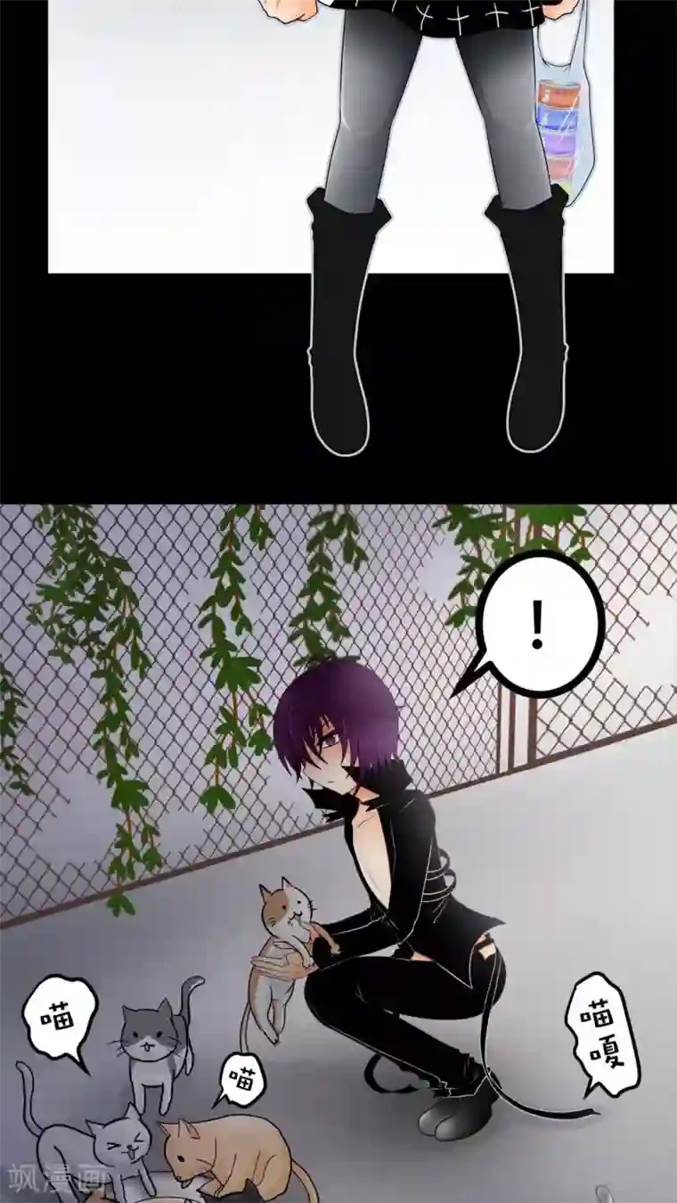 未近第27话 我们不是「虐猫狂徒」!
