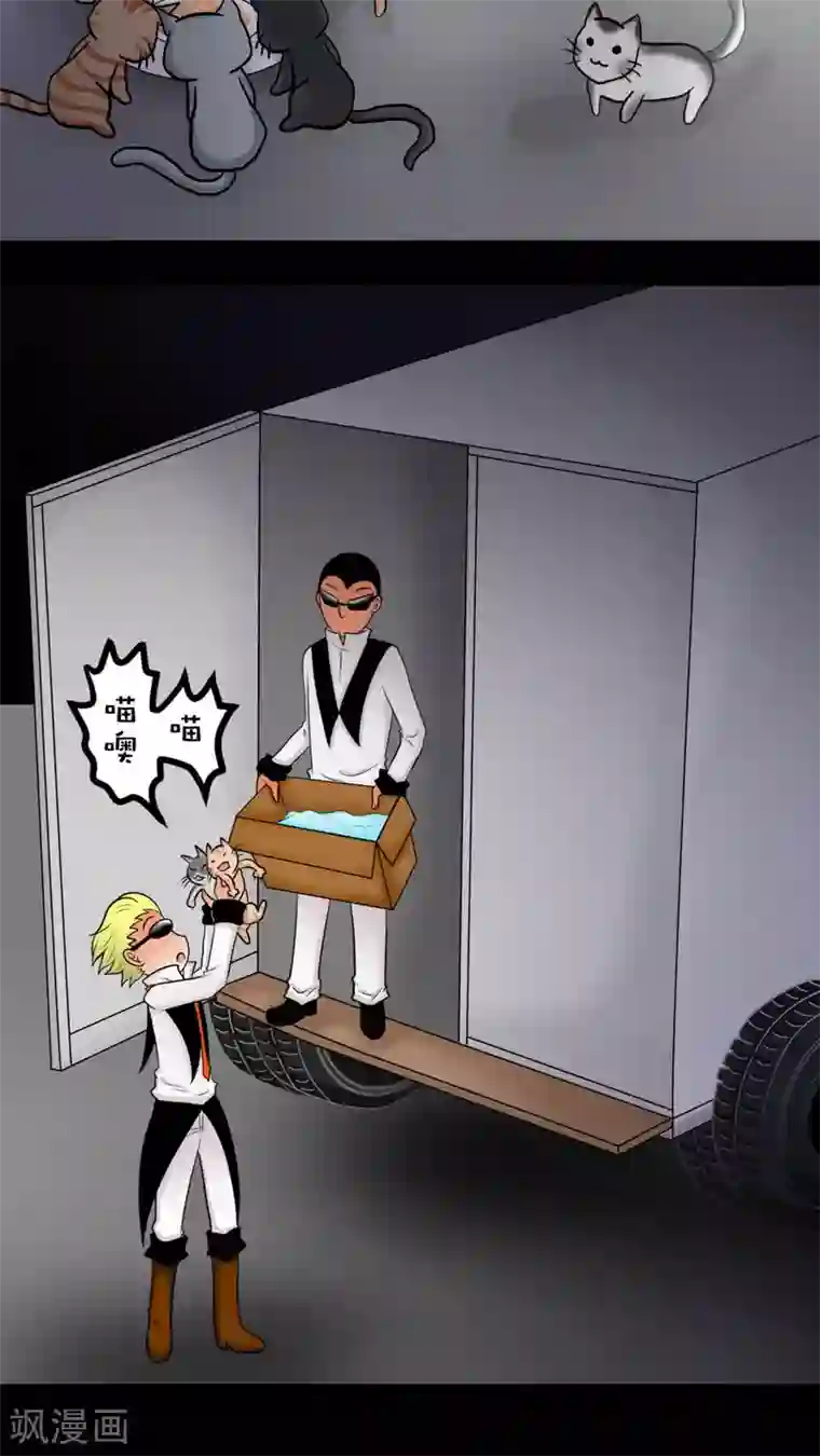 未近第27话 我们不是「虐猫狂徒」!