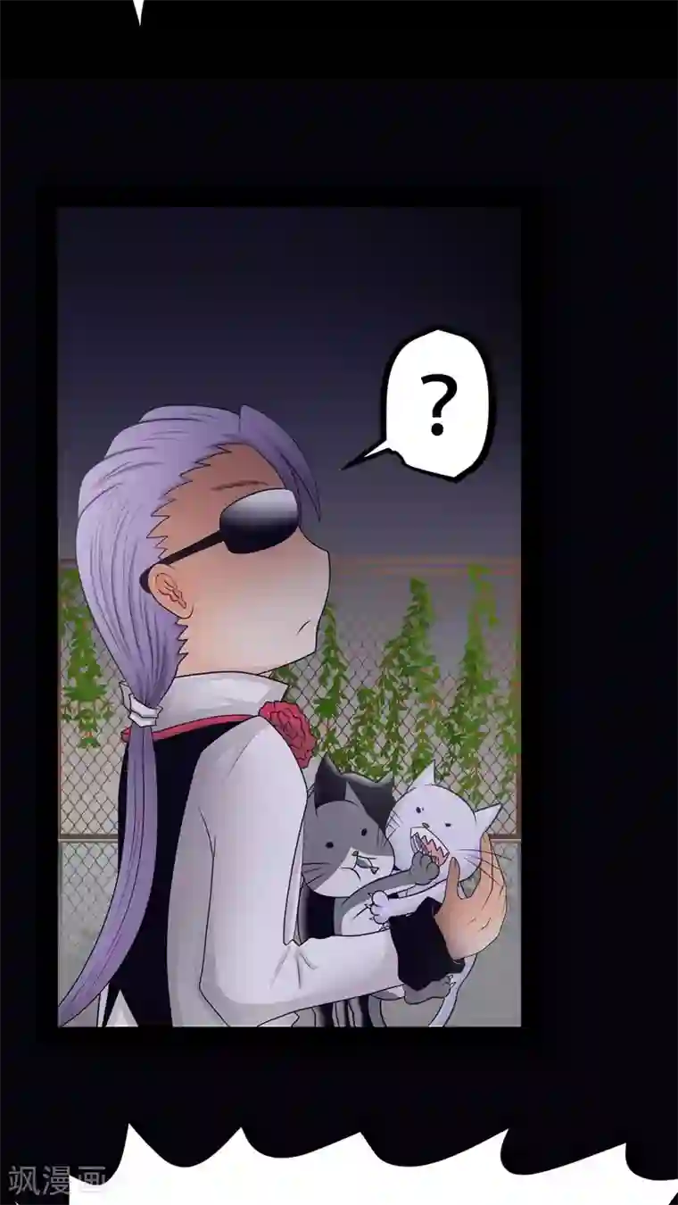 未近第27话 我们不是「虐猫狂徒」!
