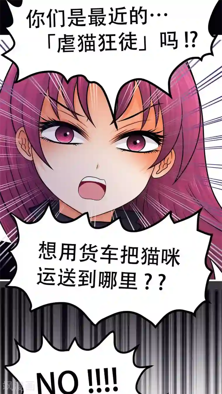 未近第27话 我们不是「虐猫狂徒」!