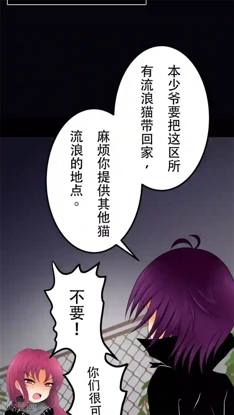 未近第27话 我们不是「虐猫狂徒」!