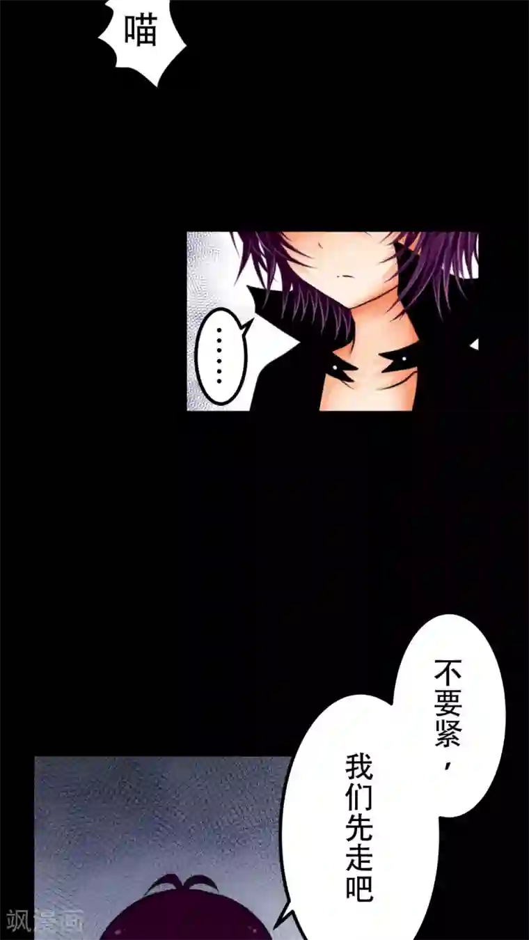 未近第27话 我们不是「虐猫狂徒」!