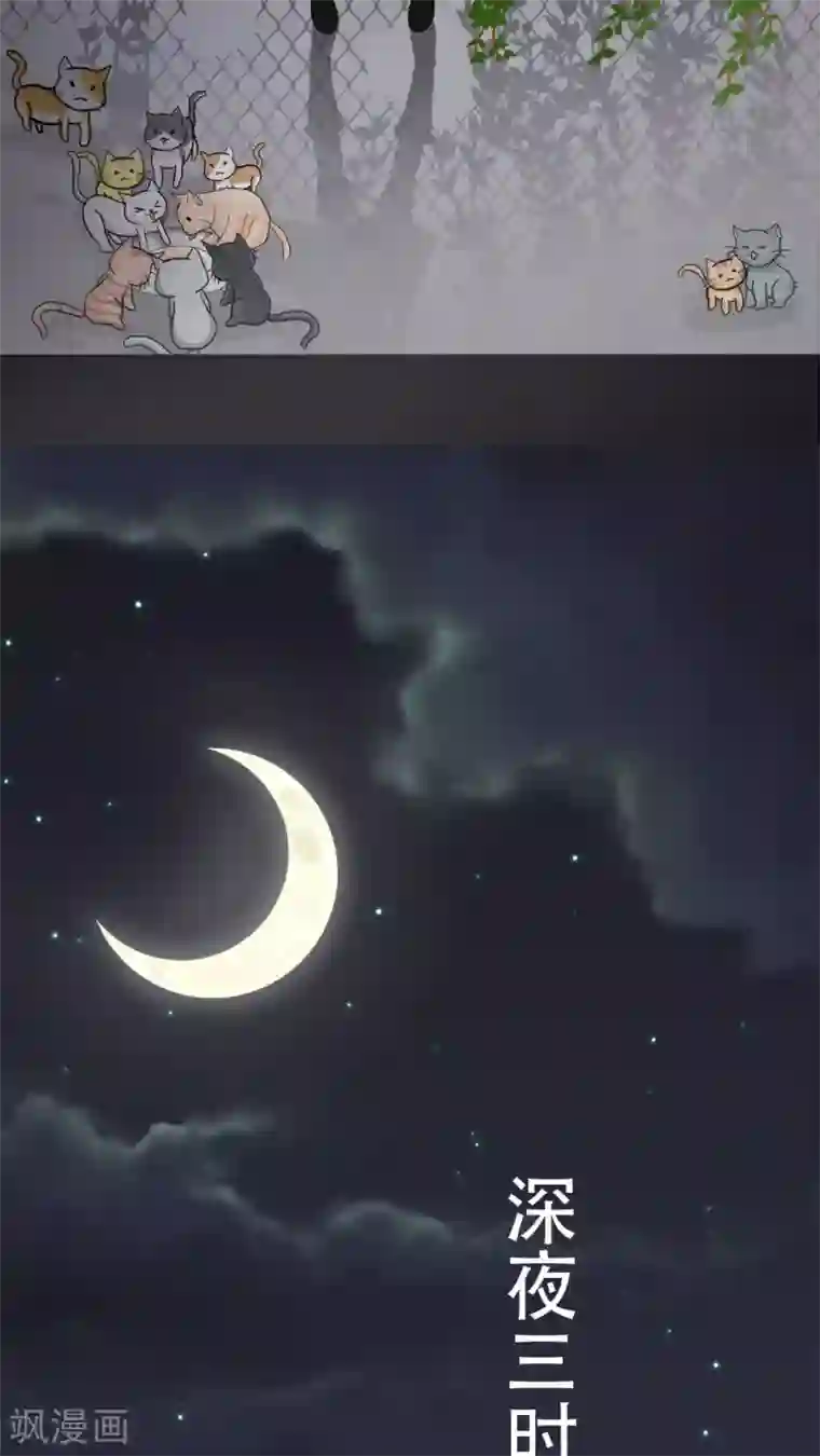 未近第27话 我们不是「虐猫狂徒」!