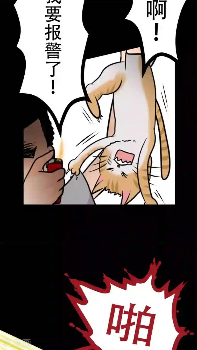 未近第27话 我们不是「虐猫狂徒」!