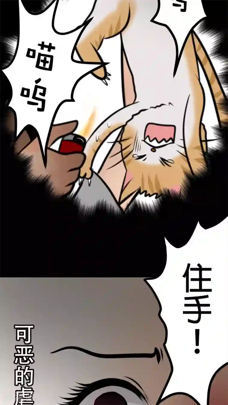 未近第27话 我们不是「虐猫狂徒」!