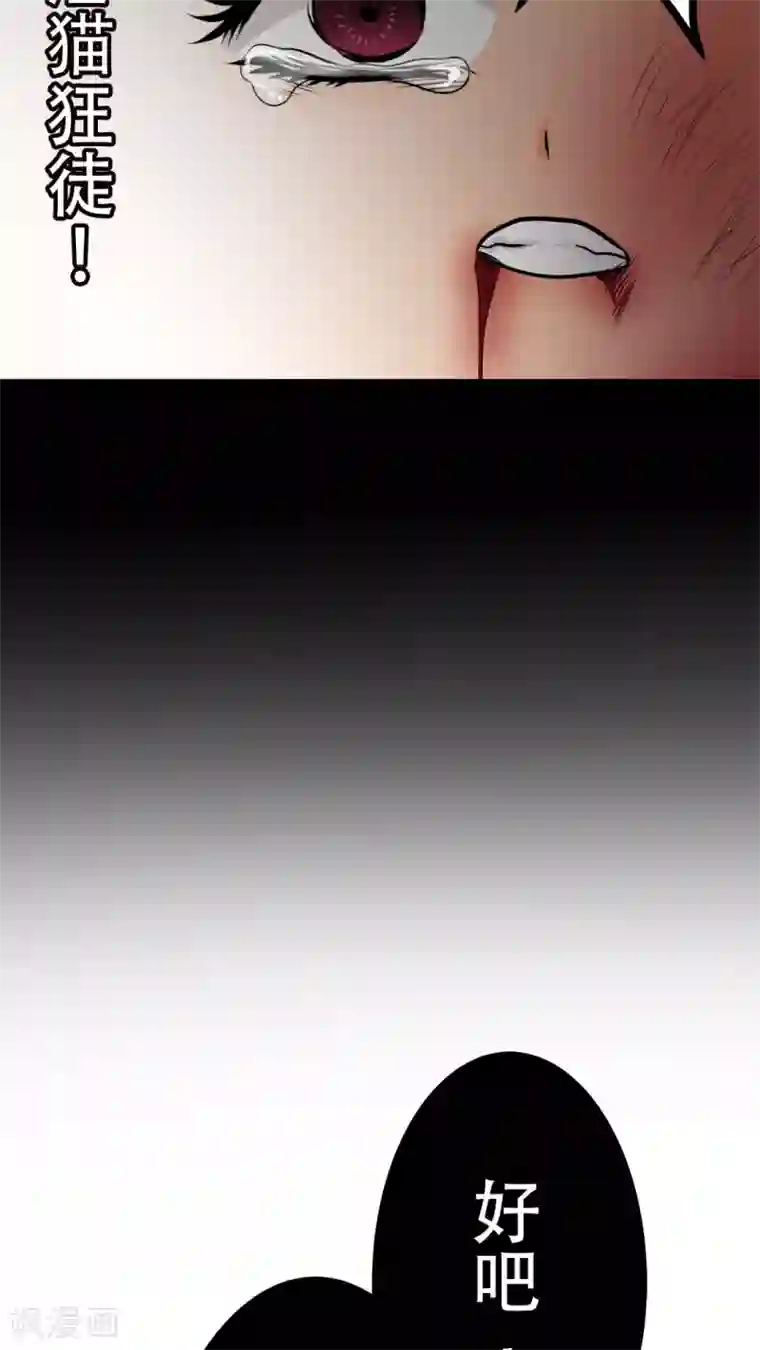 未近第27话 我们不是「虐猫狂徒」!