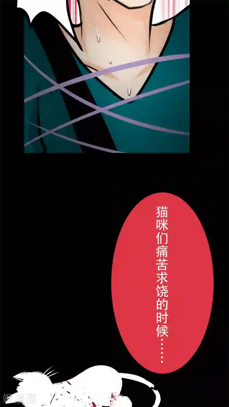 未近第27话 我们不是「虐猫狂徒」!