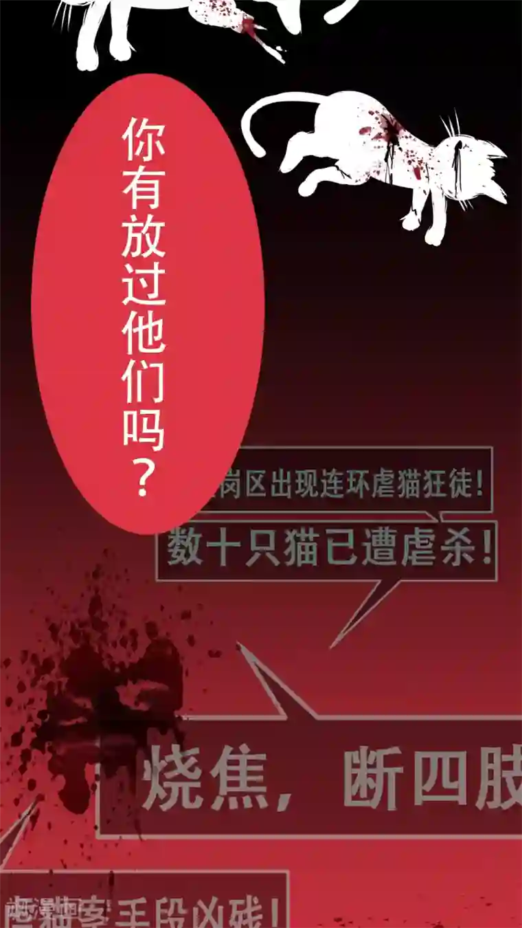 未近第27话 我们不是「虐猫狂徒」!
