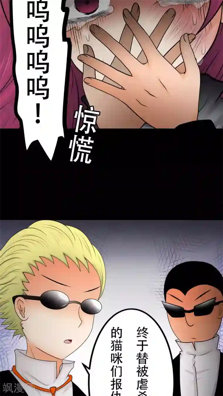 未近第27话 我们不是「虐猫狂徒」!