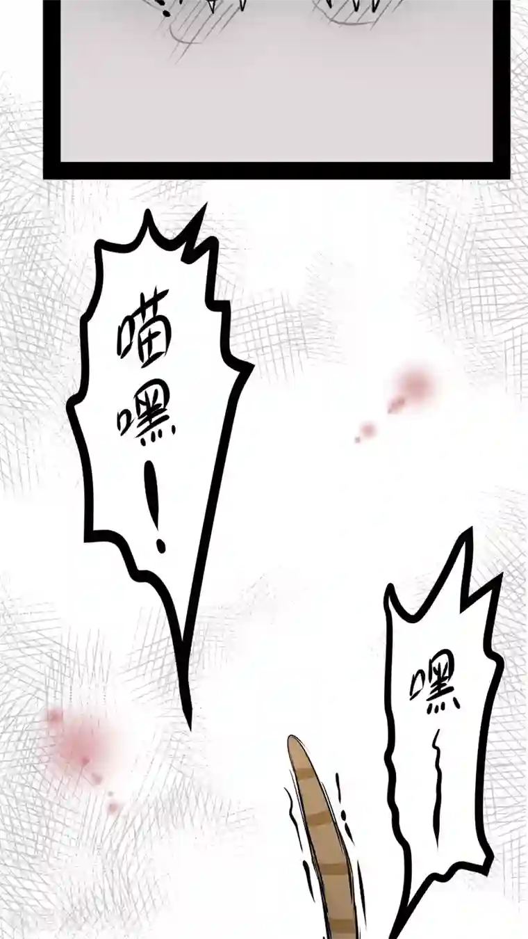 未近第27话 我们不是「虐猫狂徒」!