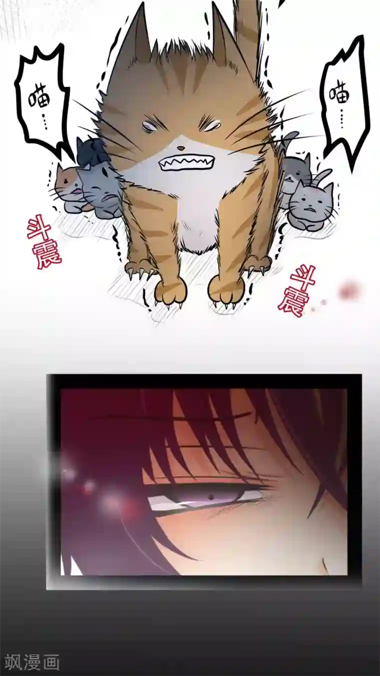 未近第27话 我们不是「虐猫狂徒」!