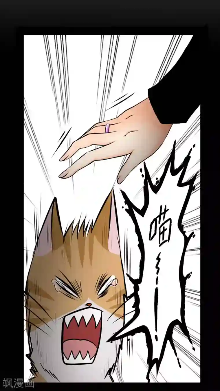 未近第27话 我们不是「虐猫狂徒」!