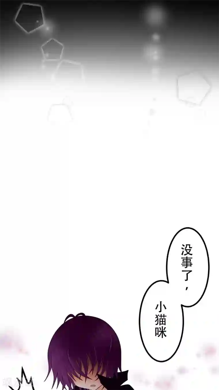 未近第27话 我们不是「虐猫狂徒」!