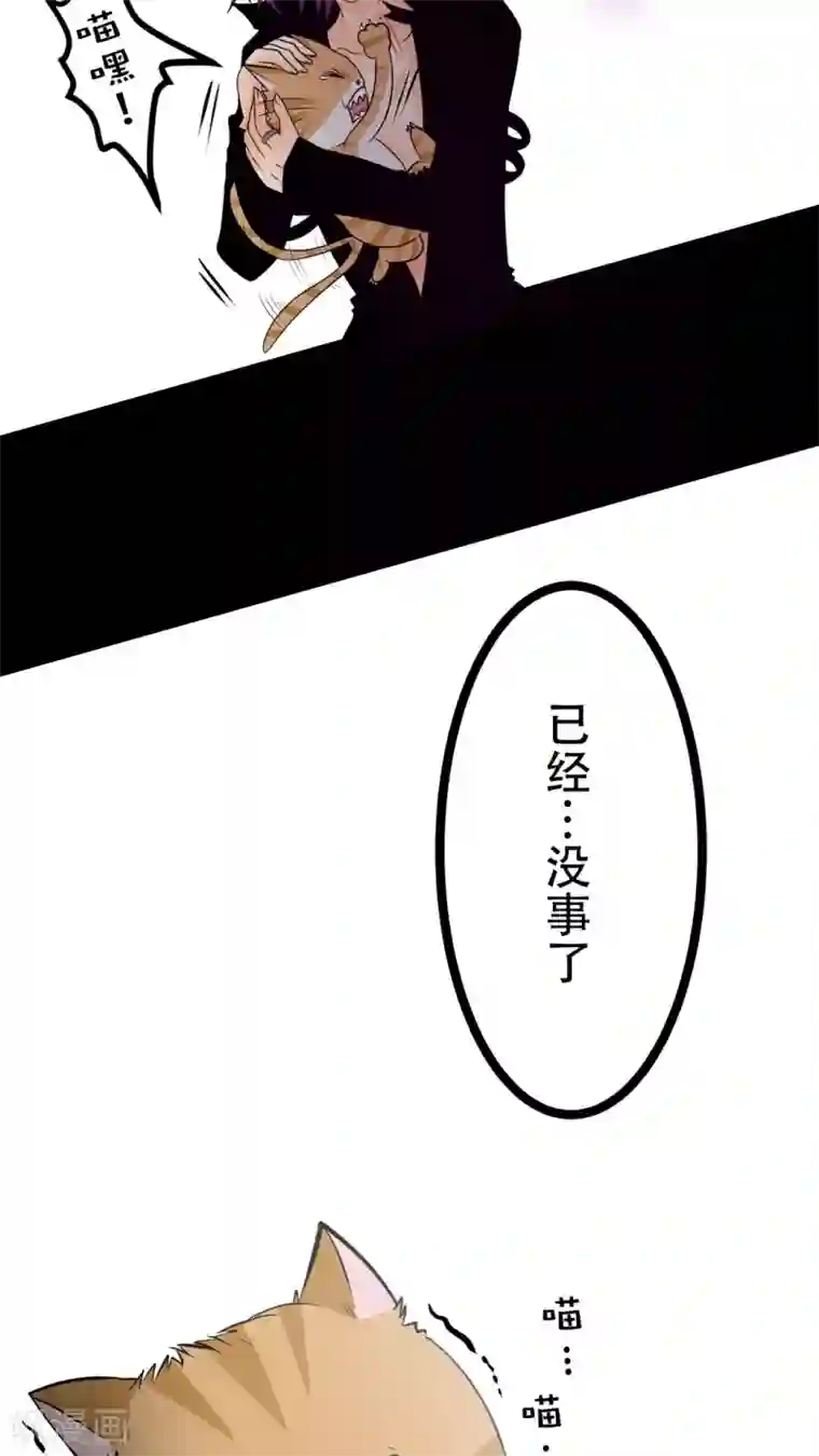 未近第27话 我们不是「虐猫狂徒」!