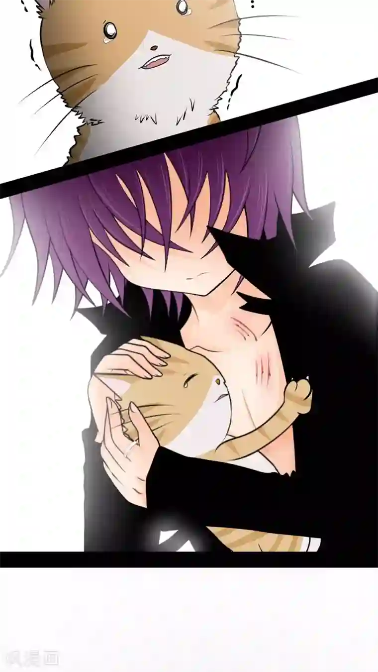 未近第27话 我们不是「虐猫狂徒」!