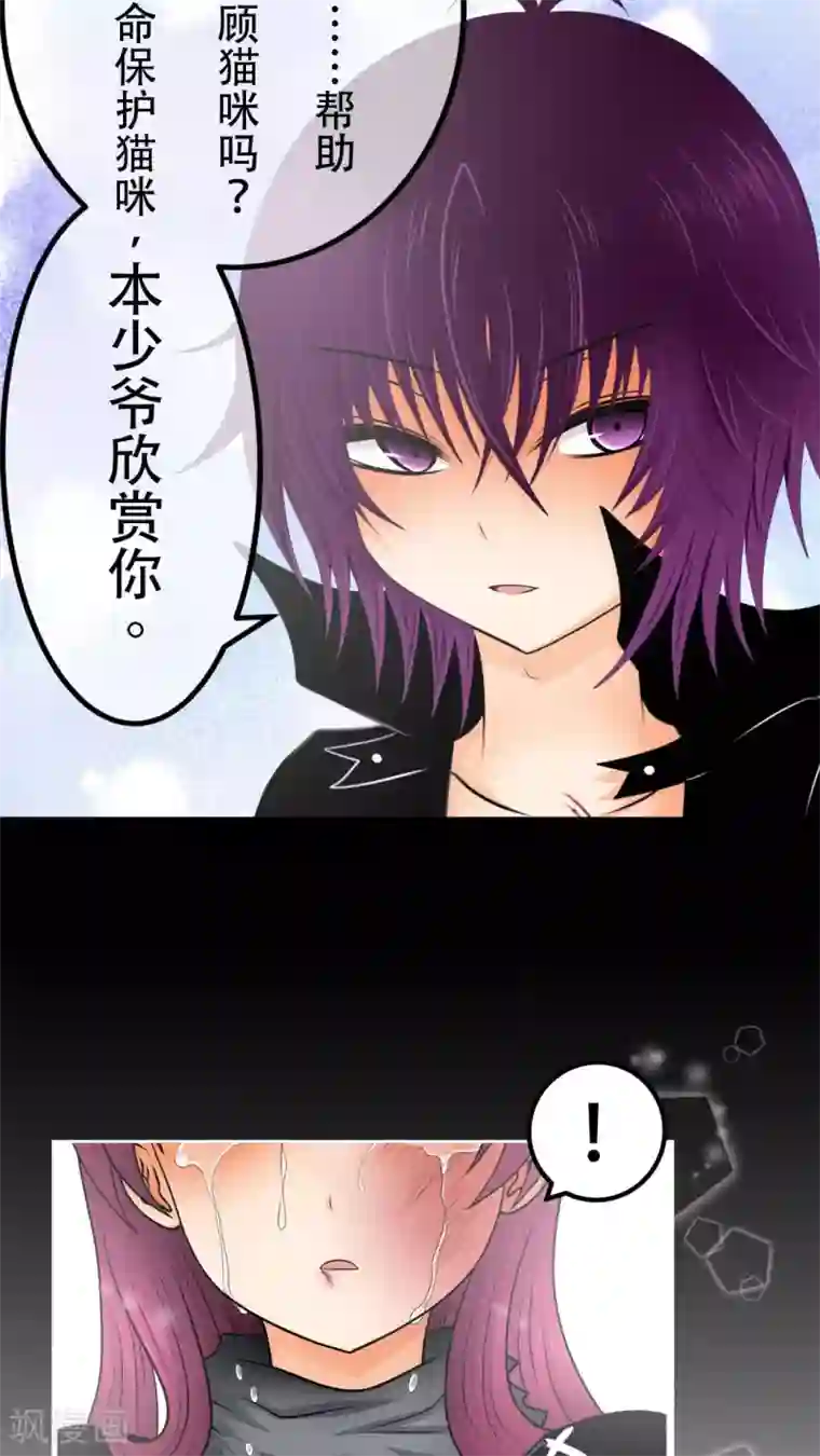 未近第27话 我们不是「虐猫狂徒」!