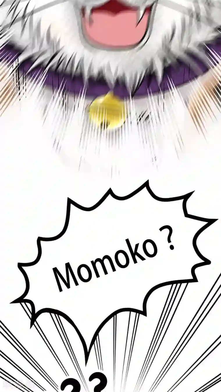 未近第58话 这个温馨的情景恐怕是最后了