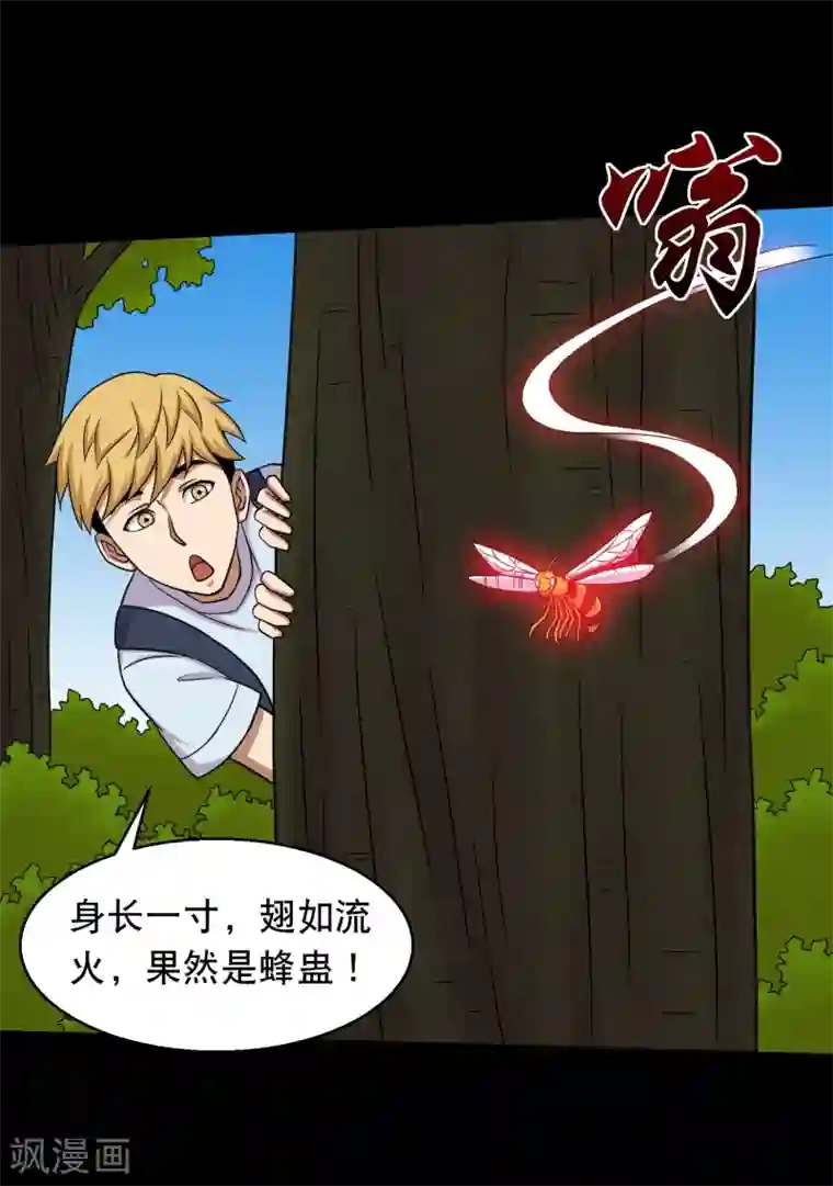 大蛊师第42话 蜂蛊凶猛