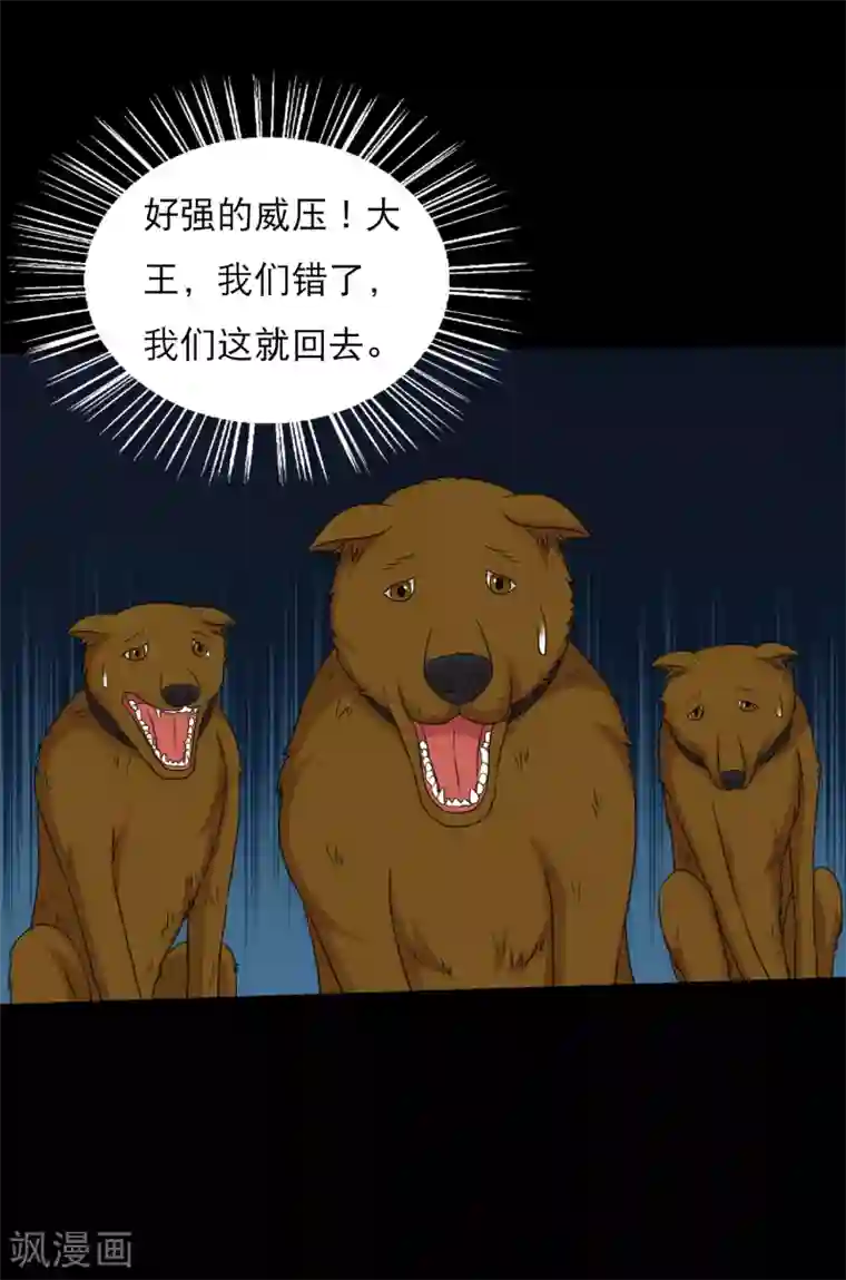 大蛊师第97话 奔跑吧狗狗