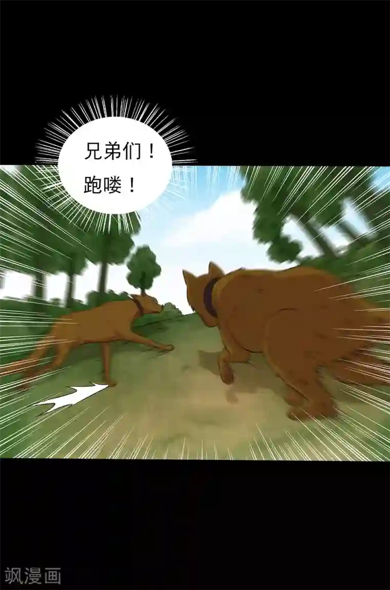 大蛊师第97话 奔跑吧狗狗