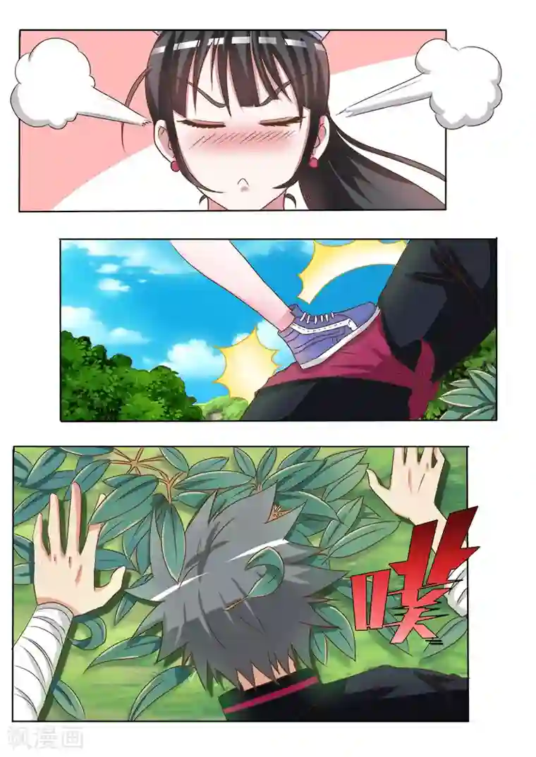 中华神医第15话 金钱龟