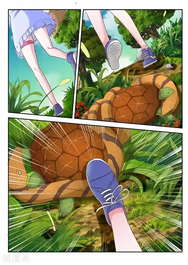 中华神医第15话 金钱龟