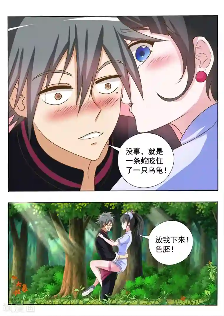 中华神医第15话 金钱龟