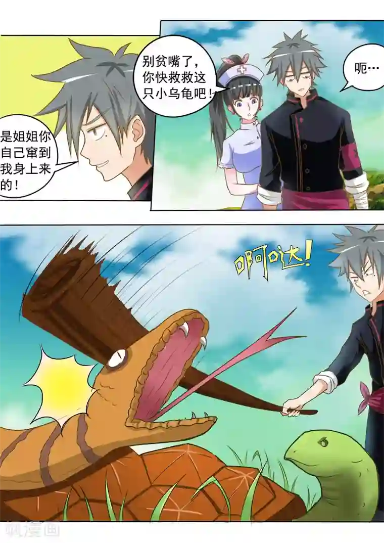 中华神医第15话 金钱龟